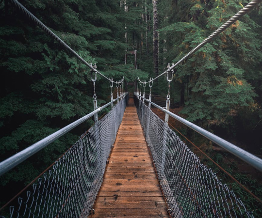 Synedica Semaglutide injection pen kit